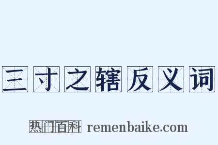 三寸之辖反义词是什么意思的图片